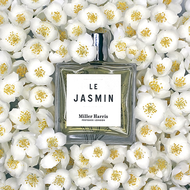 Le Jasmin Eau de Parfum for Women and Men Miller Harris perfume