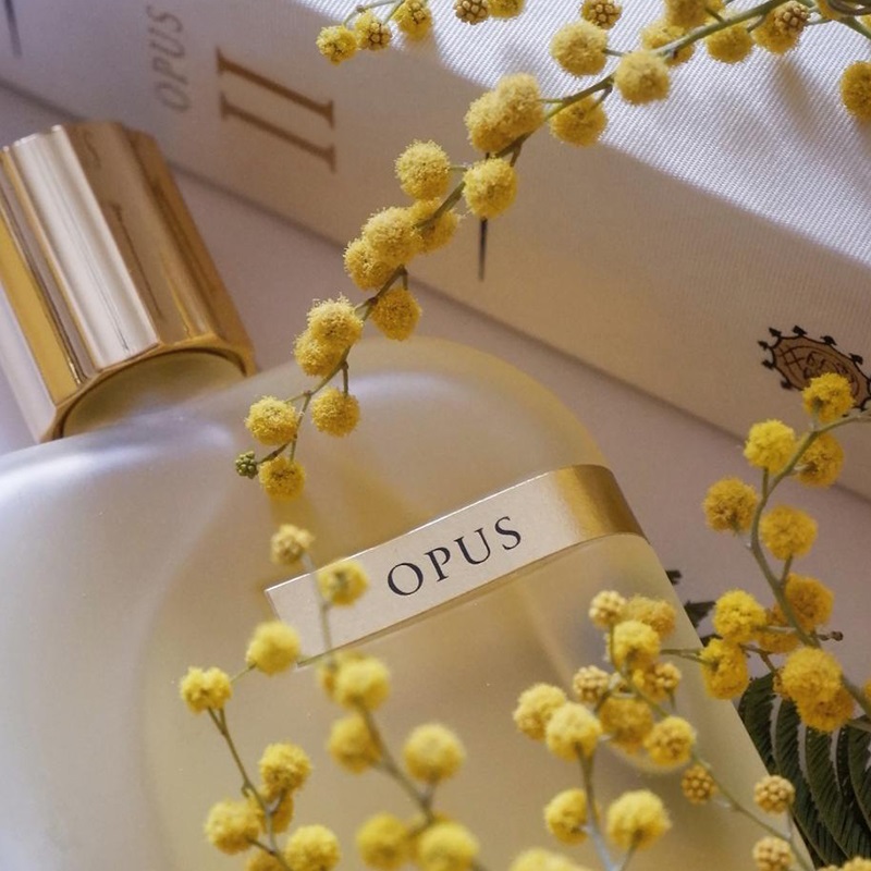 The Library Collection Opus II Eau de Parfum For Women And Men