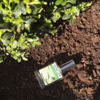 Progulka po Neskuchnomu Sady Eau de Cologne for Women and Men Demeter Fragrance