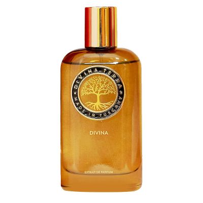 عطر بخلاصة العطور دي فينا 08 بير_سيتبري للنساء والرجال