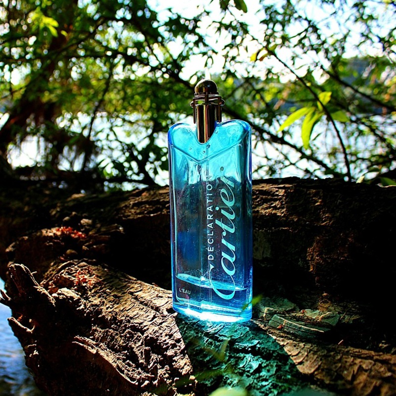 Declaration LEau Eau de Toilette for Men perfume fragrance Riah