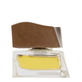 Brioni Eau de Toilette Men Brioni