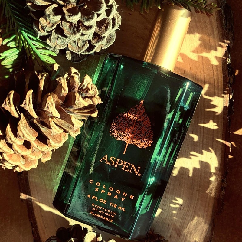 Aspen Eau de Cologne for Men Coty perfume fragrance Riah