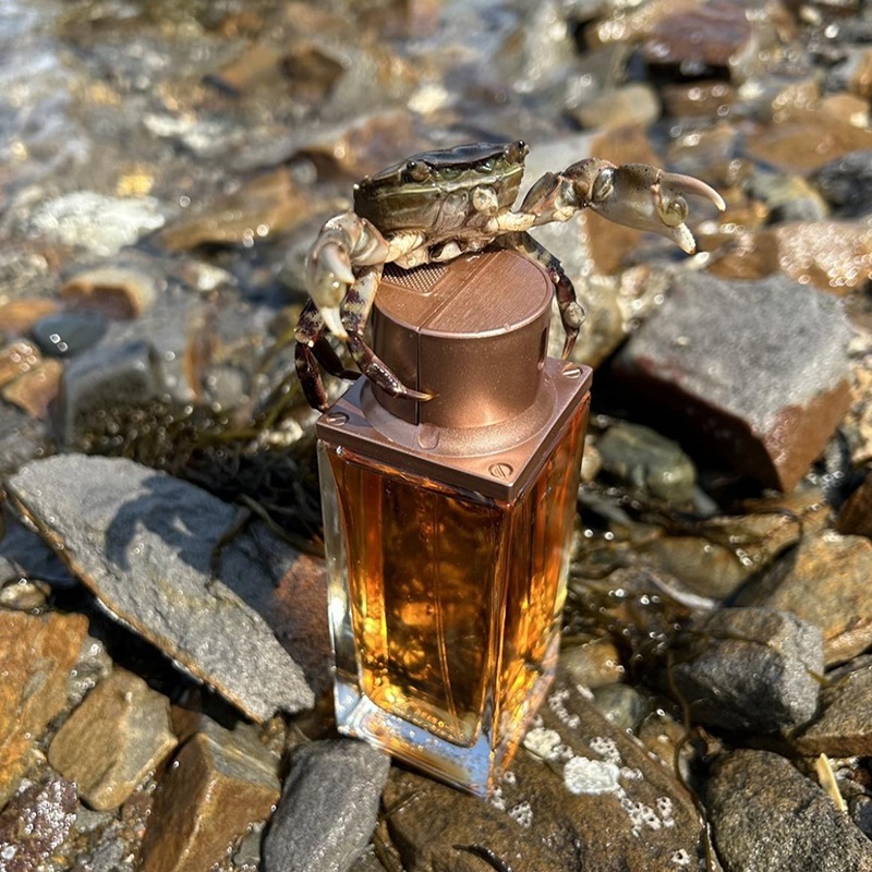 Altamir Eau de Toilette for Men perfume fragrance Riah