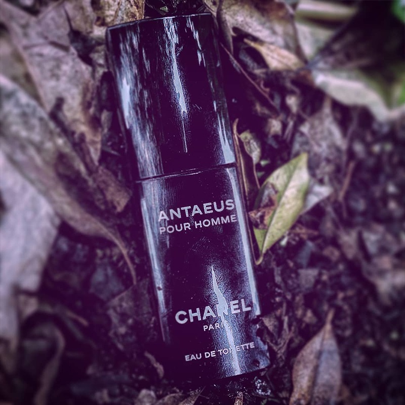 Antaeus Eau de Toilette For Men Chanel perfume & fragrance - Riah