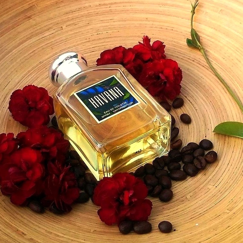Havana Eau de Toilette for Men Aramis perfume & fragrance - Riah