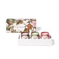 giftset scented candle 3 pcs carriere freres