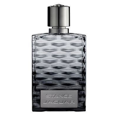 Stance Eau de Toilette Men Jaguar