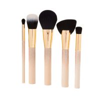 giftset starlight stunners brush for women 5 pcs tarte