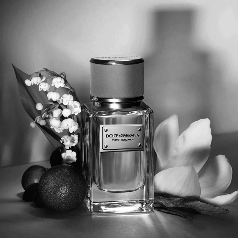 Dolce & gabbana velvet bergamot online