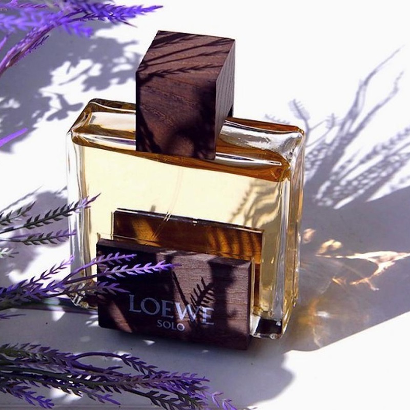 Cedro solo loewe best sale