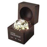 Luna Moon Eau de Parfum For Men Ramon Molvizar