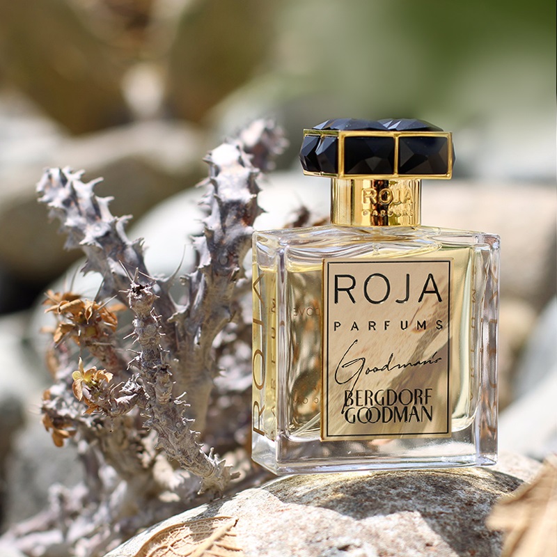 Goodmans shopping Bergdorf Goodman Perfume