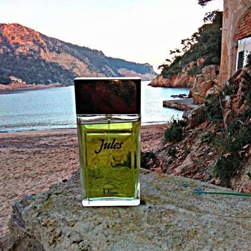 Dior Jules 2016 Eau de Toilette for Men