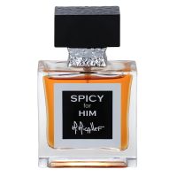 Spicy for Him Eau de Parfum Men M Micallef