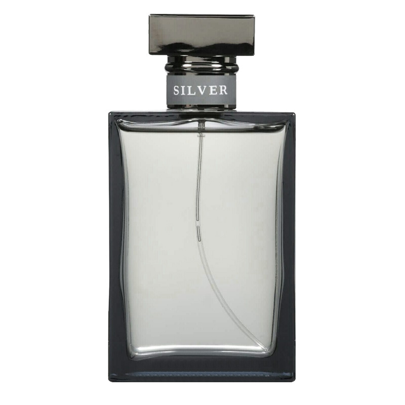 Romance Silver Eau de Toilette Men Ralph Lauren perfume fragrance Riah