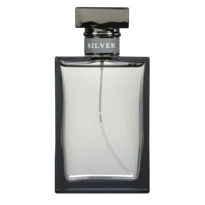 Romance Silver Eau de Toilette Men Ralph Lauren