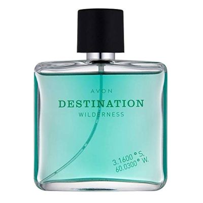 Destination Wilderness Eau de Toilette Men Avon