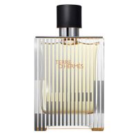 Terre d Hermes Flacon H 2009 Eau de Toilette for Men