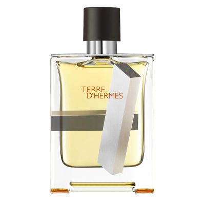 Terre d Hermes Perspective Eau de Toilette for Men Hermes