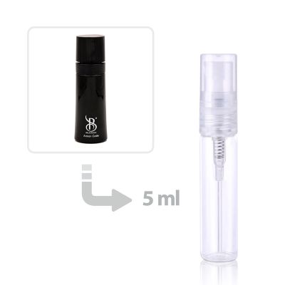 Arman Code Eau de Parfum for Men Brandini
