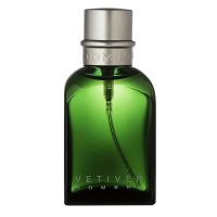 Vetiver Hombre Eau de Toilette for Men Adolfo Dominguez