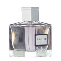 Sir Gallahad Eau de Parfum Men Isabey