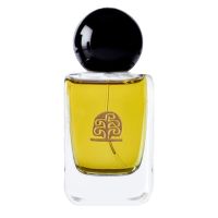Hommage a Paul Klee Lights and Shadows Eau de Parfum for Women and Men Ys Uzac