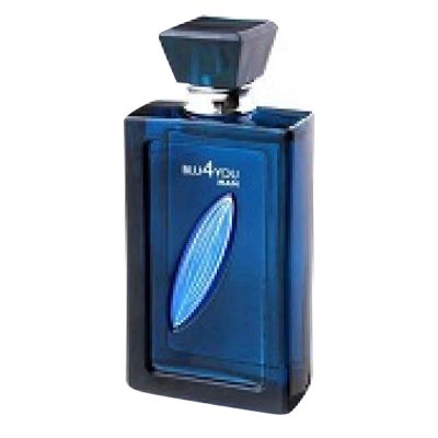 Blu 4 You Eau de Toilette for Men Linn Young