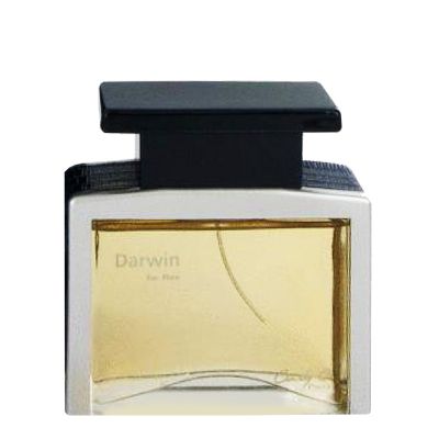 Darwin Eau de Parfum for Men Cindy C