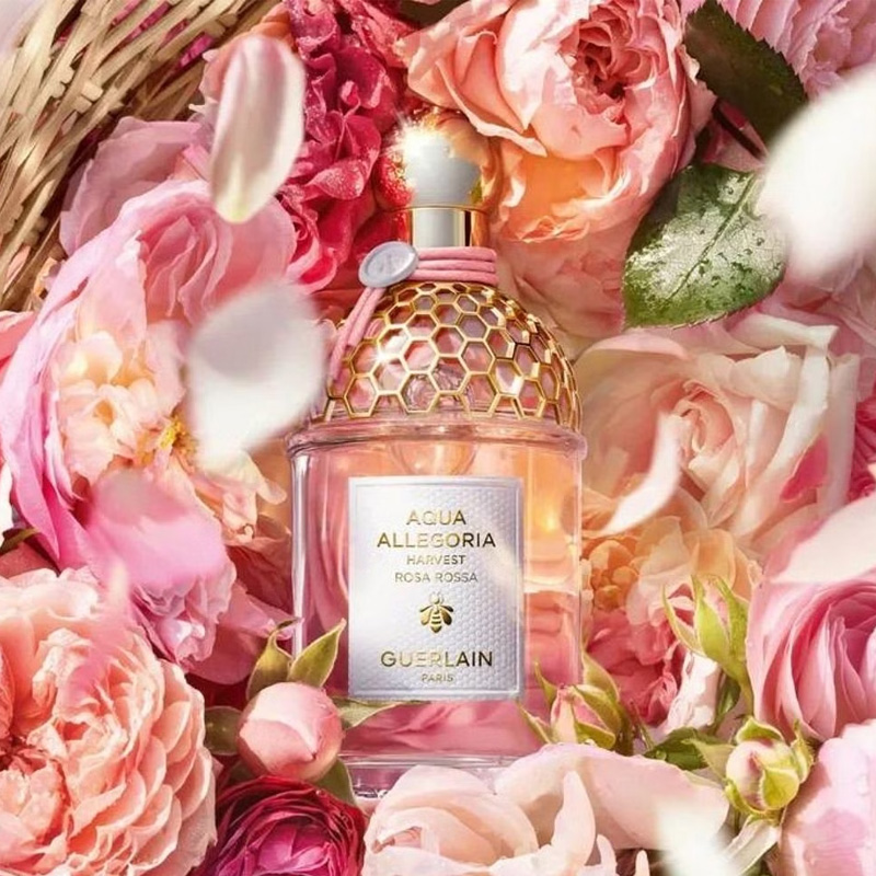 Riah La Perla Rosa Perfume RIAH FASHION Bohemian Mix Bead Multi - Main Image