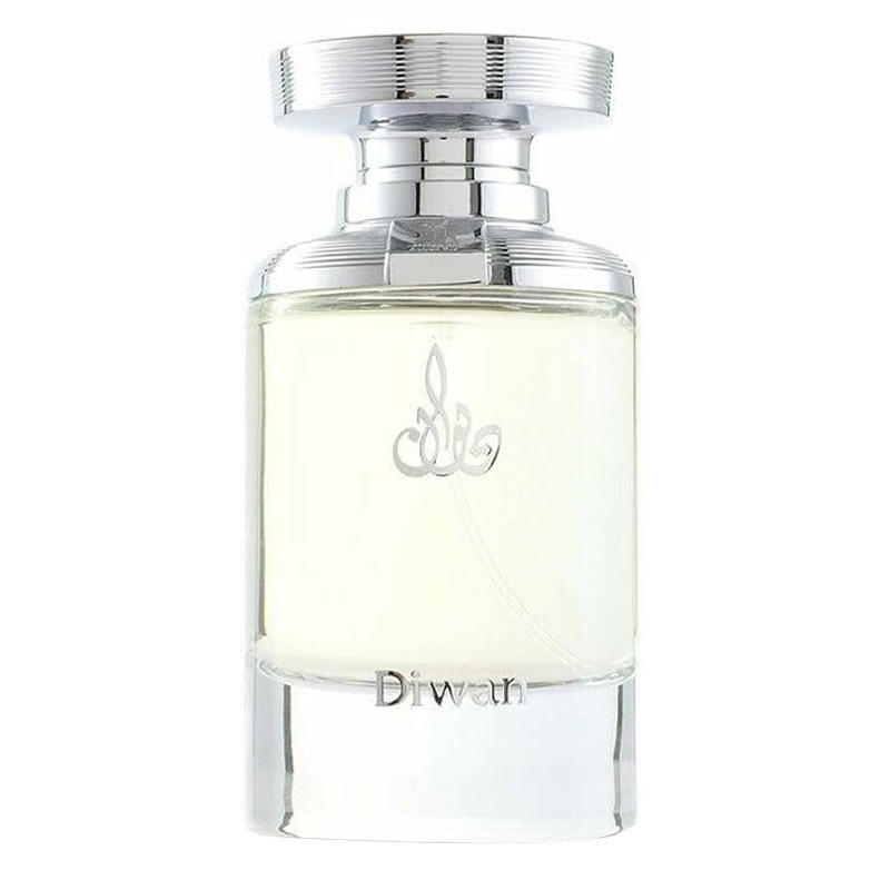Eau De Parfum Arabian Oud Diwan Pour Homme - 100 Ml - Notes De Musc, Patchouli Et Résine