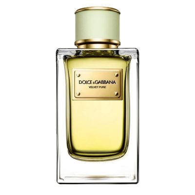 Velvet Pure Eau de Parfum Women Dolce & Gabbana - D&G