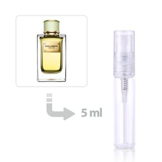 عطر فيلفت بيور أو دي بارفيوم للنساء دولتشي اند غابانا
