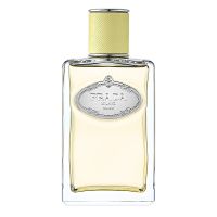 Infusion De Gingembre Eau de Parfum Women and Men Prada