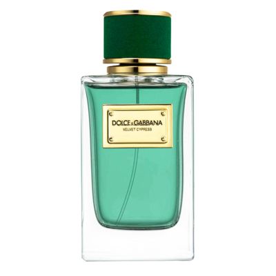 Velvet Cypress Eau de Parfum Women and Men Dolce & Gabbana - D&G