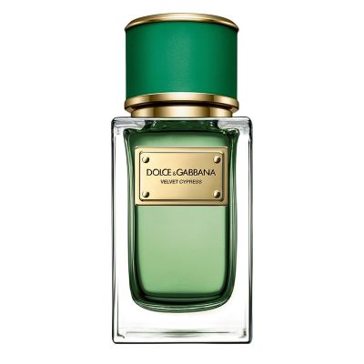 Velvet Cypress Eau de Parfum Women and Men Dolce & Gabbana - D&G