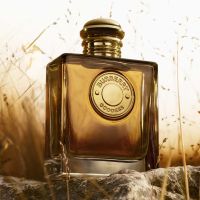 Goddess Perfume Women Burberry