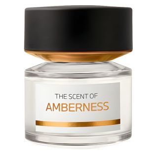 Amberness Eau de Parfum Women and Men BMW Fragrances