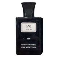 Avaitus Eau de Parfum For Men NF