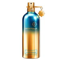 Aoud Lagoon Eau de Parfum Women and Men Montale