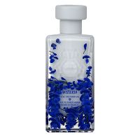 Wisteria Eau de Parfum Women and Men Al Jazeera