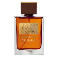 Zolotaa lihoradka Gold Rush Eau de Toilette Men Brocard