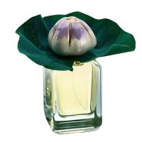 Mauna Extrait de Parfum Women and Men Mendittorosa