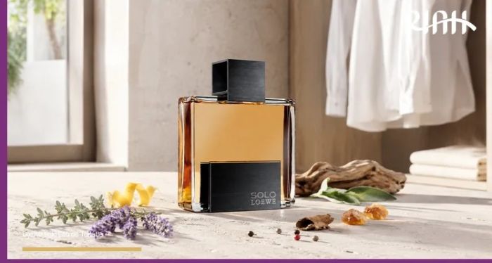 Loewe Solo Perfume for Men